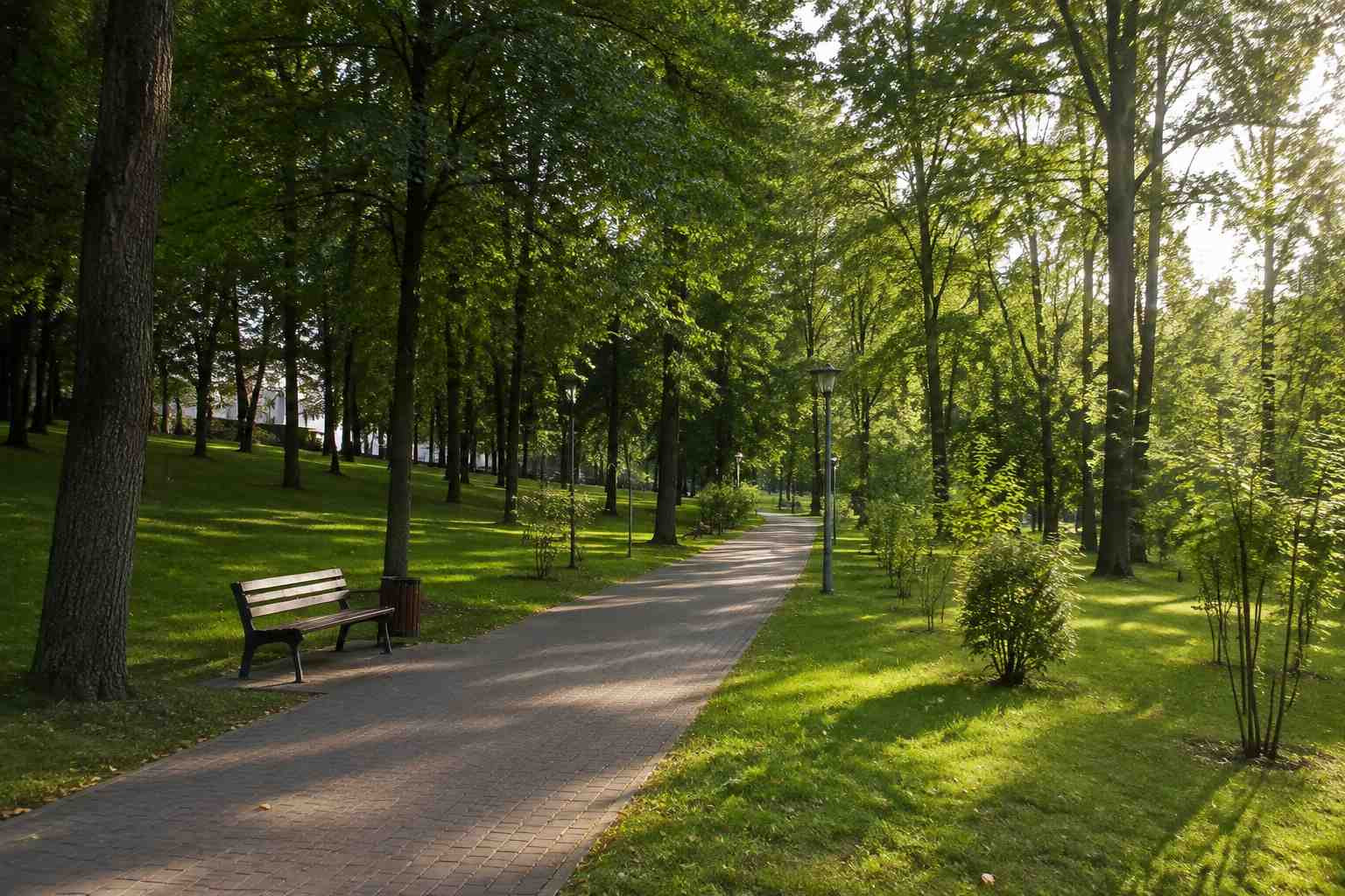https://simferopol.blago-s.ru/storage/app/uploads/public/6a7/eef/ed2/6a7eefed2af22038960370.jpg